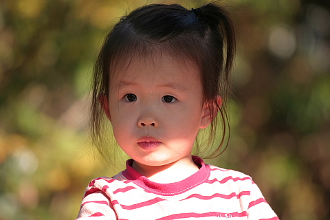 ��摜���N���b�N����Ɗg�債�܂��B��